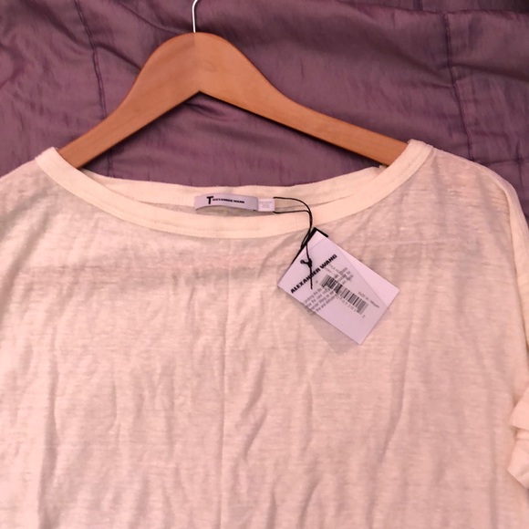 Brand new with tags Alexander Wang T shirt dress - Picture 3 of 3